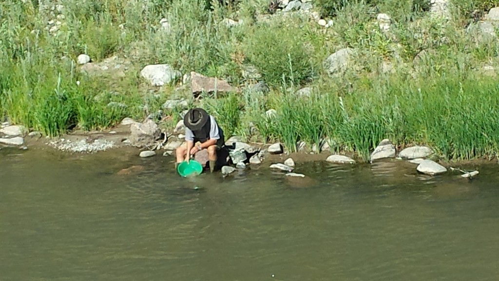 From the train we saw prospectors (tourists, I suspect) panning for gold in the Arkansas River.