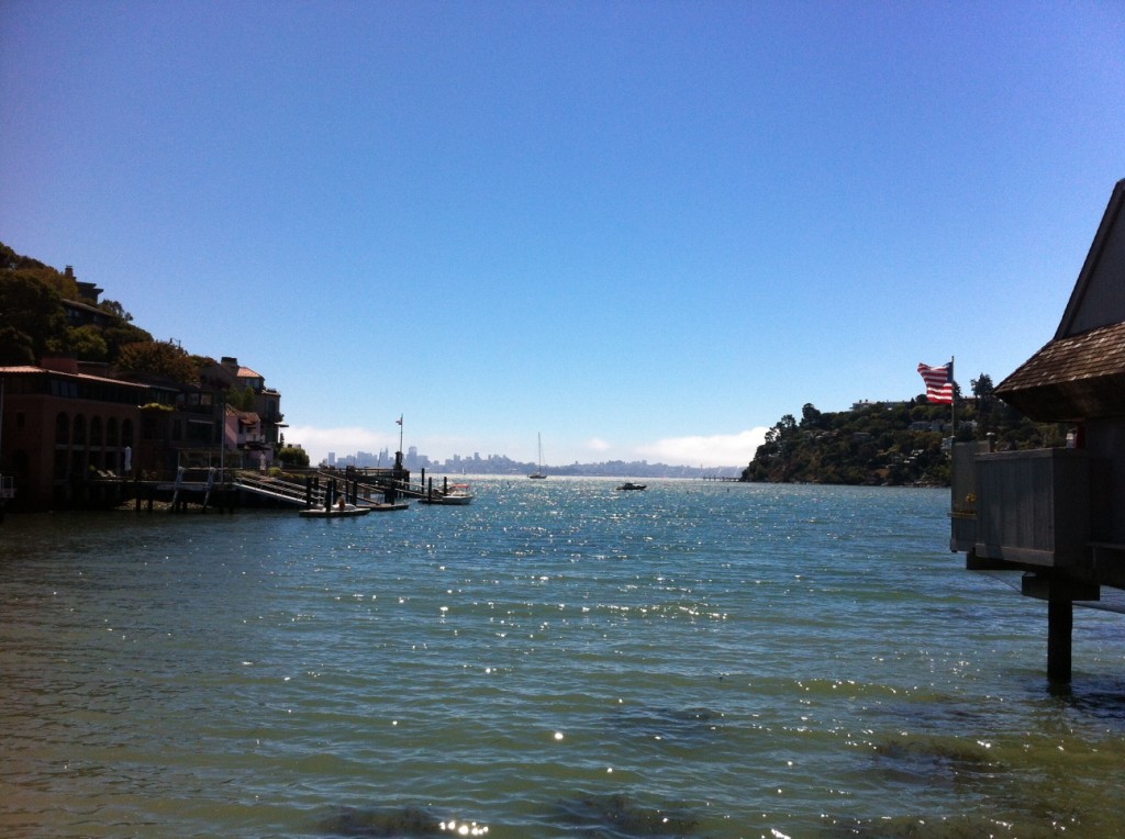 We enjoyed a lovely walk along Richardson Bay, looking across San Francisco Bay at the city skyline.